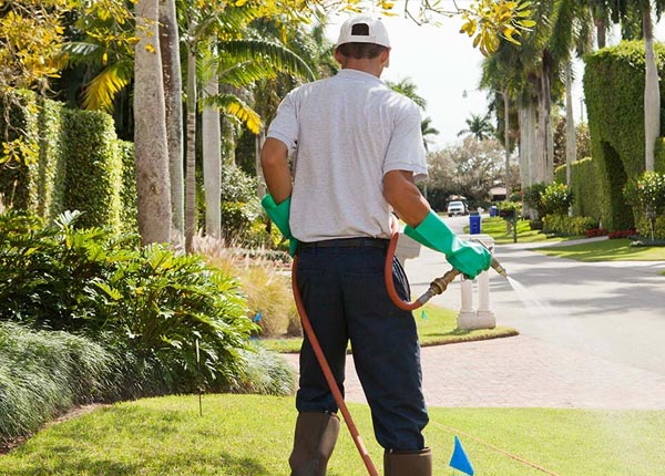 About Liberty NY Pest Control